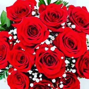 Meet your Posher, Katerina